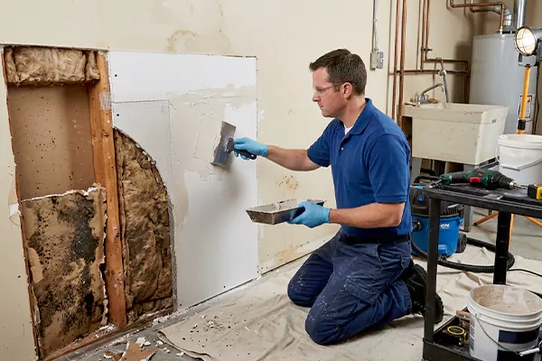 Mold and Drywall Repair San Dimas