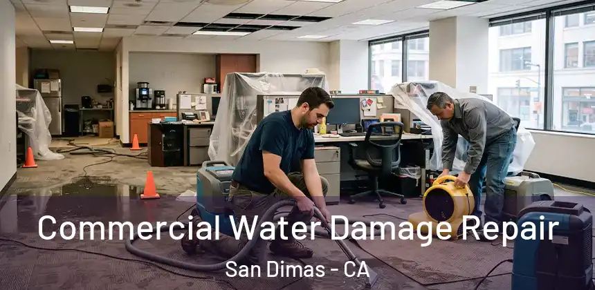  Commercial Water Damage Repair San Dimas - CA