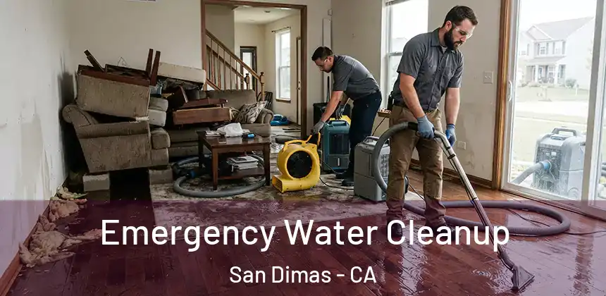  Emergency Water Cleanup San Dimas - CA