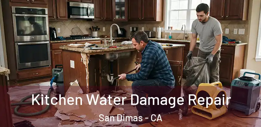  Kitchen Water Damage Repair San Dimas - CA