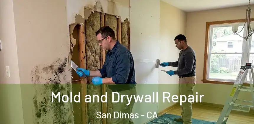  Mold and Drywall Repair San Dimas - CA