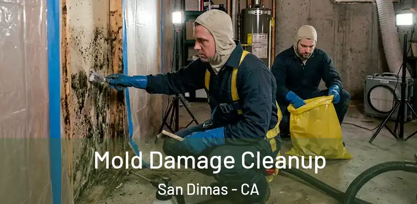 Mold Damage Cleanup San Dimas - CA