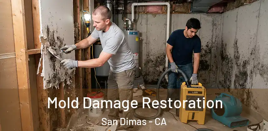  Mold Damage Restoration San Dimas - CA