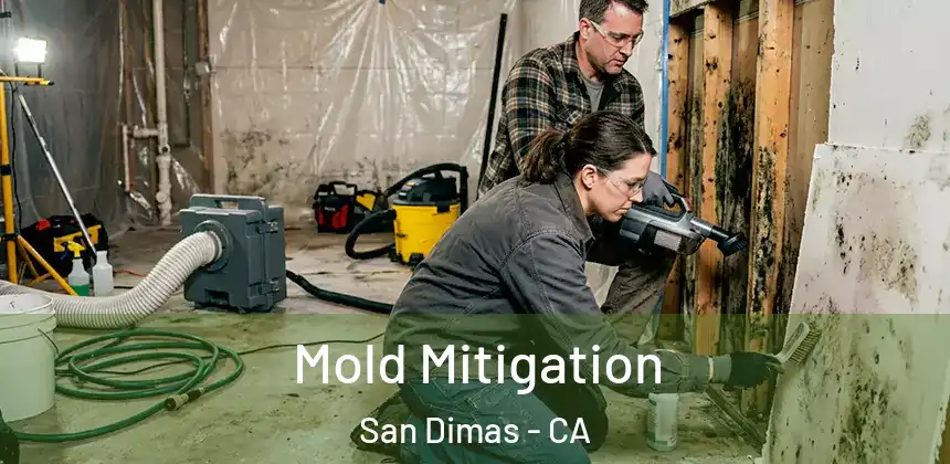  Mold Mitigation San Dimas - CA