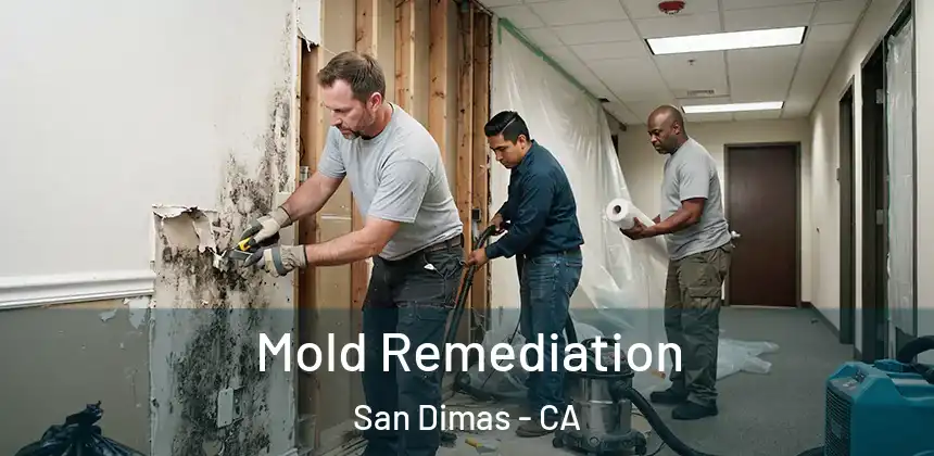  Mold Remediation San Dimas - CA