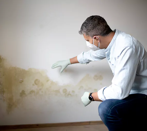 Mold Removal Service in San Dimas, CA