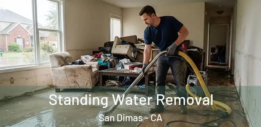  Standing Water Removal San Dimas - CA