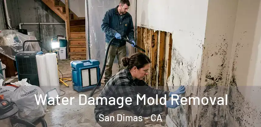  Water Damage Mold Removal San Dimas - CA