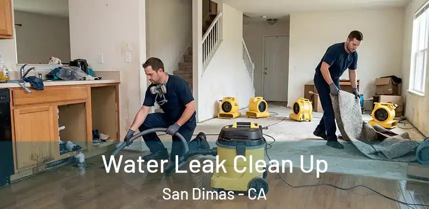  Water Leak Clean Up San Dimas - CA